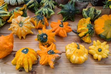 Similar image 16923587