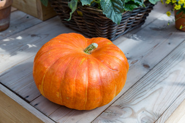 Similar image 16923589