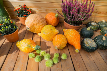 Similar image 16923590