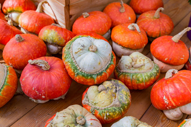 Similar image 16923592