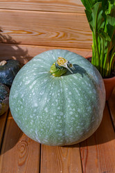 Similar image 16923593