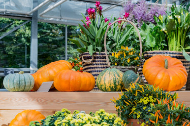 Similar image 16923614