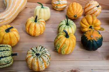 Similar image 16923615