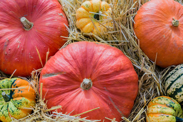 Similar image 16923616