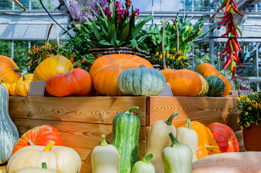 Similar image 16923617