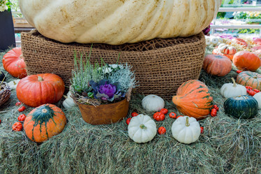 Similar image 16923619