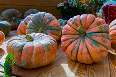 Similar image 16923621