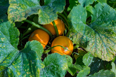 Similar image 16923622