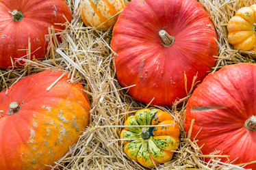 Similar image 16925097