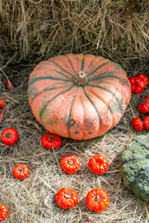 Similar image 16925130