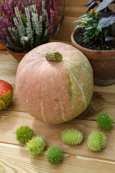 Similar image 16925131