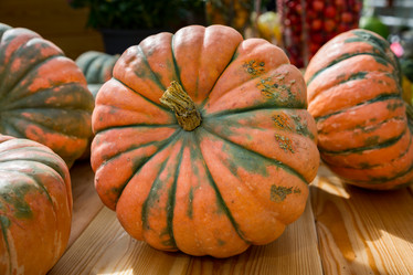 Similar image 16925132