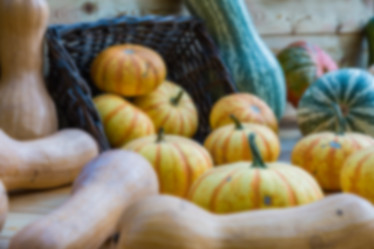 Similar image 16925134