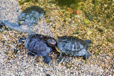 Similar image 16925170