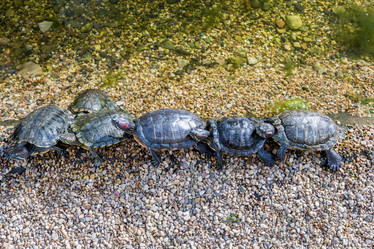 Similar image 16925184