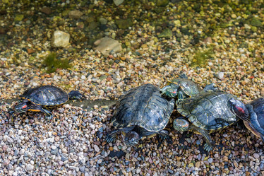 Similar image 16925185