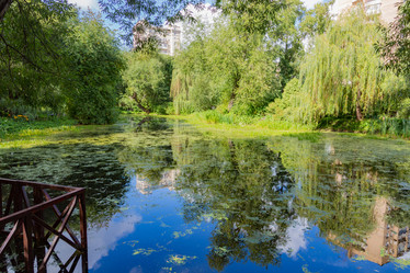 Similar image 16925037