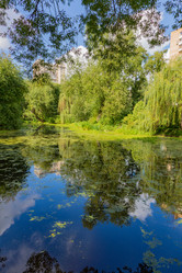 Similar image 16925038