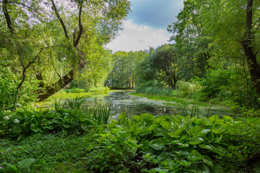 Similar image 16925098