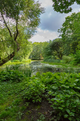 Similar image 16925099