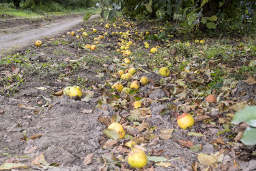 Similar image 17540006