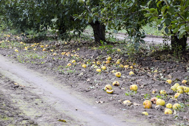 Similar image 17540011