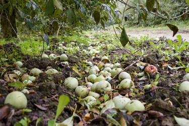 Similar image 17540022