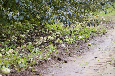 Similar image 17542554