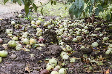 Similar image 17542555