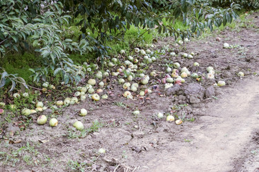 Similar image 17542557