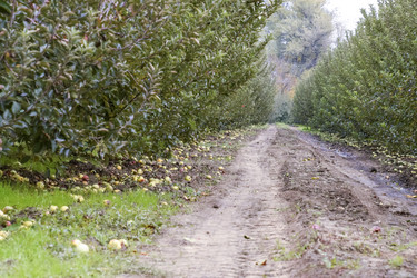 Similar image 17543488