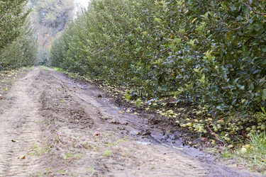 Similar image 17543490