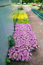 Similar image 16925208