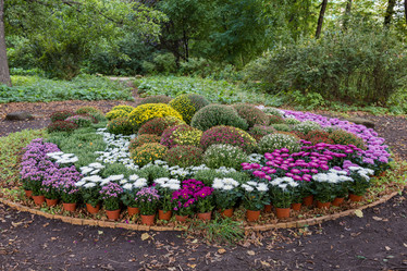 Similar image 16925213