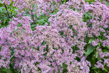 Similar image 16925218