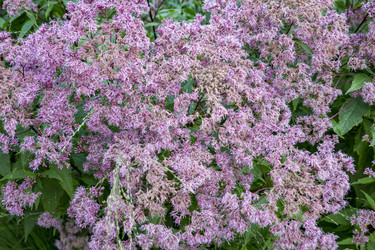 Similar image 16925229