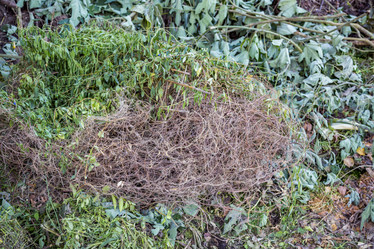 Similar image 16925135