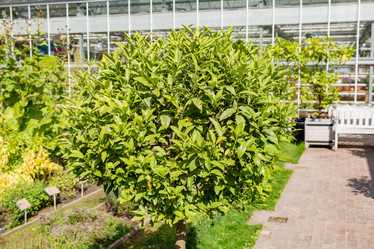 Similar image 16925011