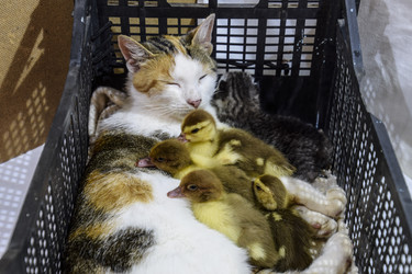 Similar image 17539752