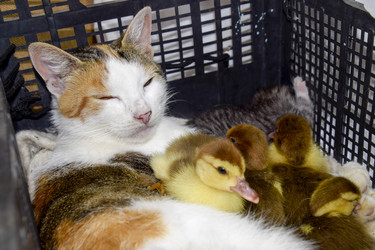 Similar image 17539753