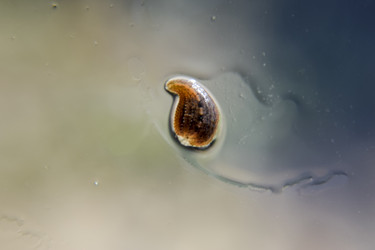 Similar image 17539962