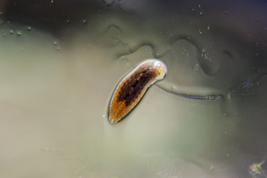 Similar image 17539969