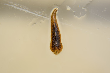 Similar image 17539795