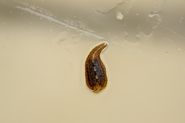 Similar image 17540007