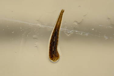 Similar image 17540013