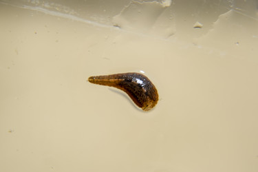 Similar image 17540029