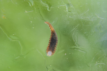 Similar image 17542559