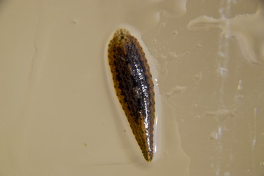 Similar image 17543491