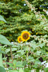 Similar image 16925012