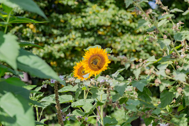 Similar image 16925013